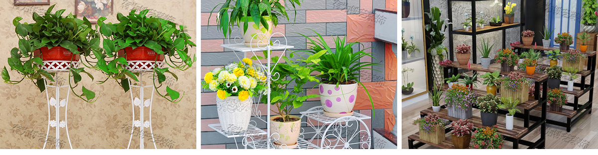 花架铁艺
